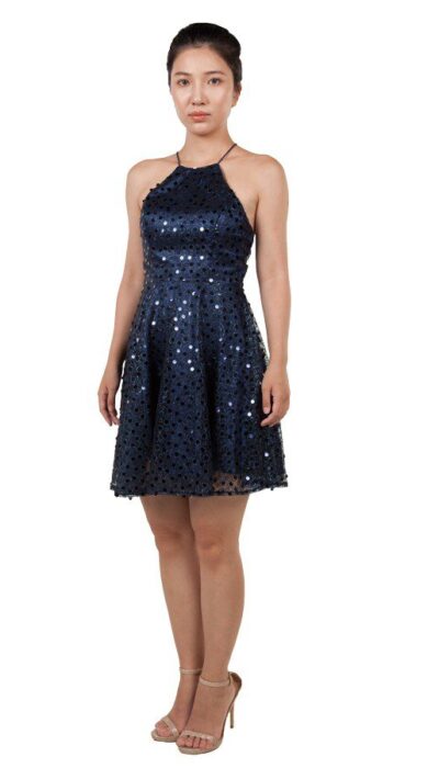 Sequin Dress 221536